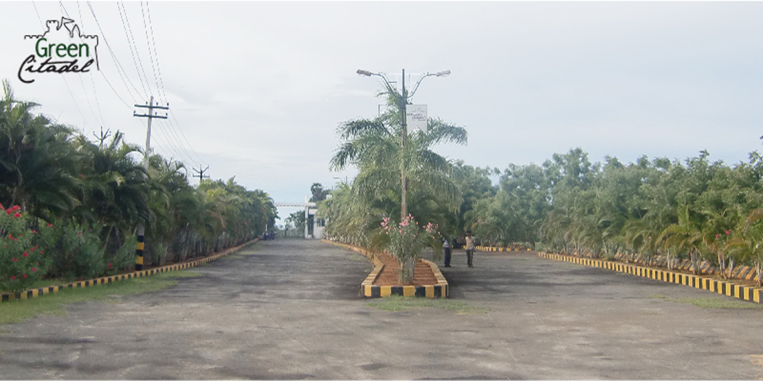 Images for Amenities of My Green Citadel