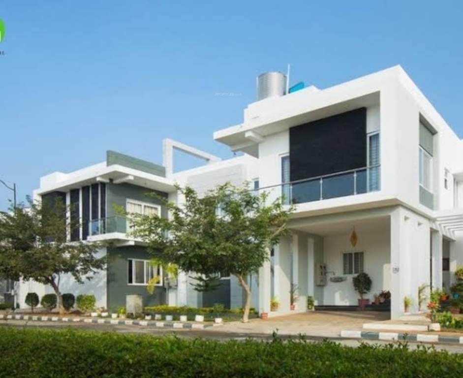  villa green Elevation