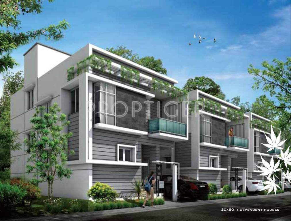  villa green Images for Elevation of Green Home Farms And Resorts Villa Green