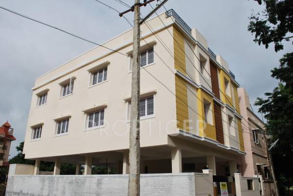 Images for Elevation of Daffodils Blossoming Homes Springz