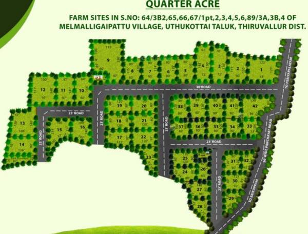 Images for Layout Plan of MCB Quarter Acre Images for Layout Plan of MCB Quarter Acre