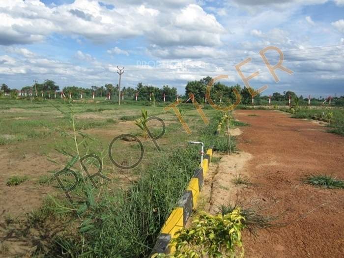 Images for Main Other of MCB Quarter Acre