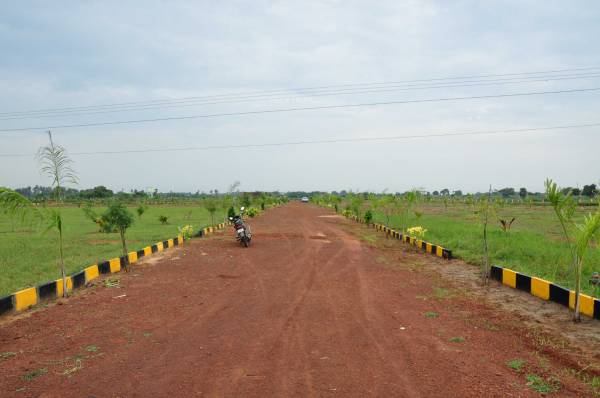 Images for Main Other of MCB Quarter Acre Images for Main Other of MCB Quarter Acre