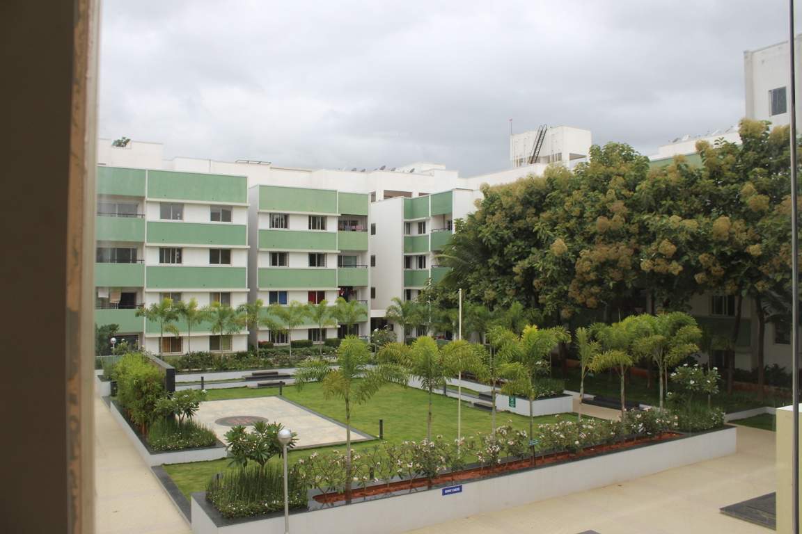  woods Images for Elevation of Bren Woods