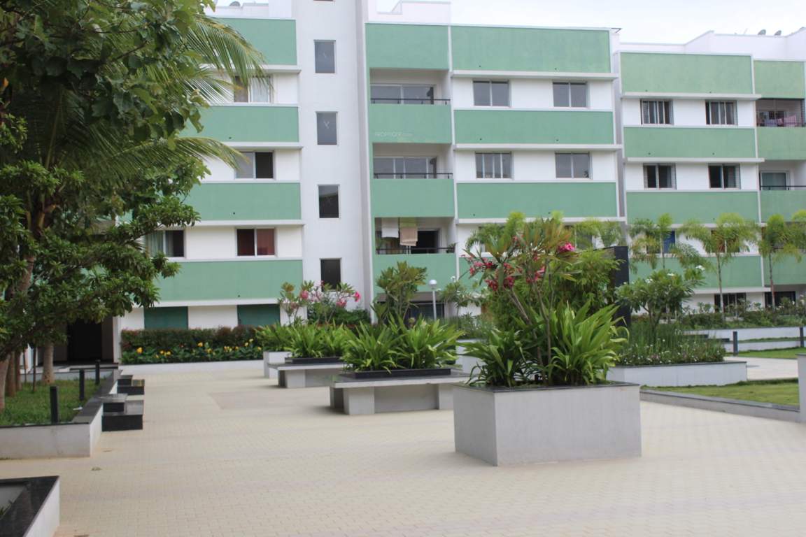  woods Images for Elevation of Bren Woods