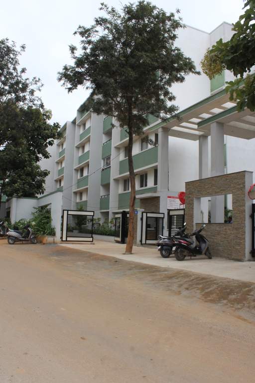  woods Images for Elevation of Bren Woods