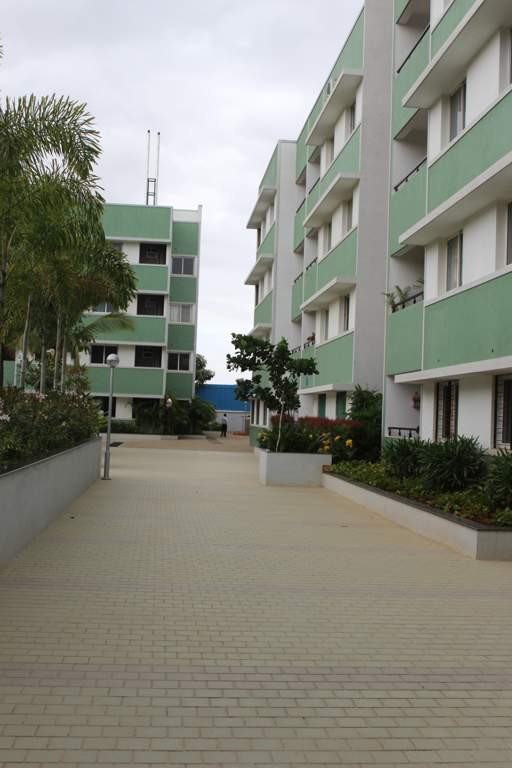  woods Images for Elevation of Bren Woods