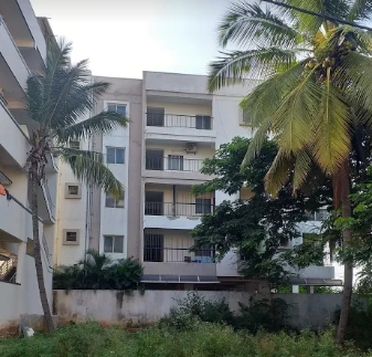  spring-nest Elevation