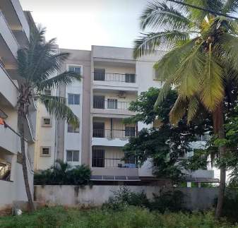  spring nest Elevation