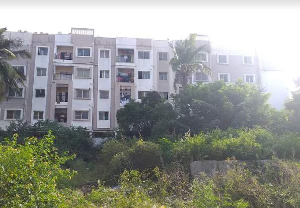  spring nest Elevation