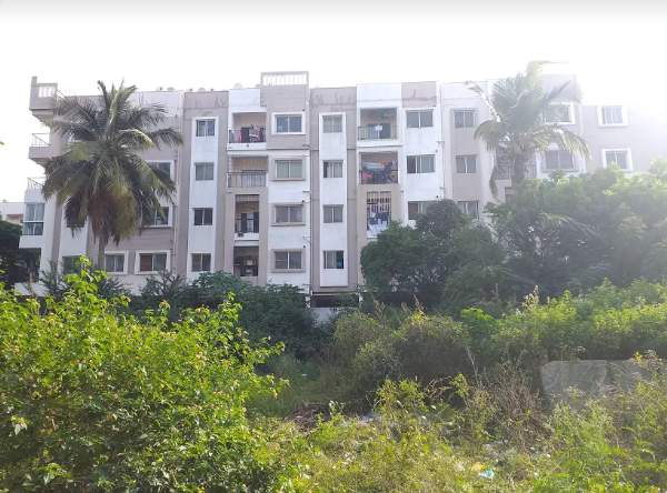  spring nest Elevation