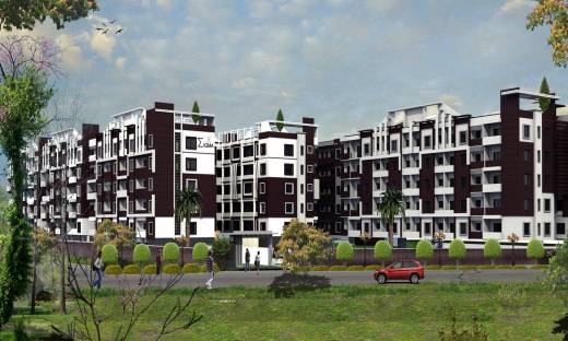 Images for Elevation of DS Sigma Nest Images for Elevation of DS Sigma Nest