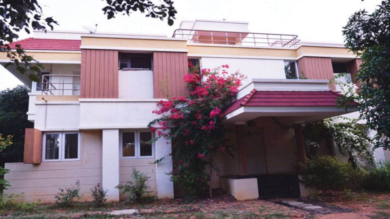 Elevation  mango county Elevation