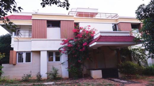 mango-county Elevation Elevation