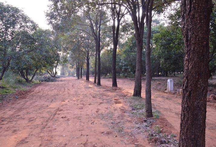  mango county Internal Roads