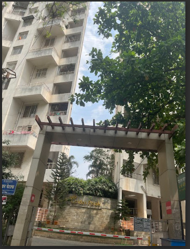  golden petals Elevation