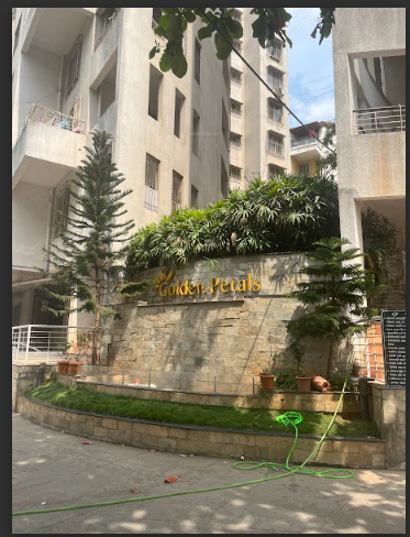  golden petals Elevation