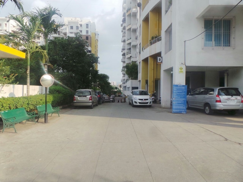  golden petals Car Parking