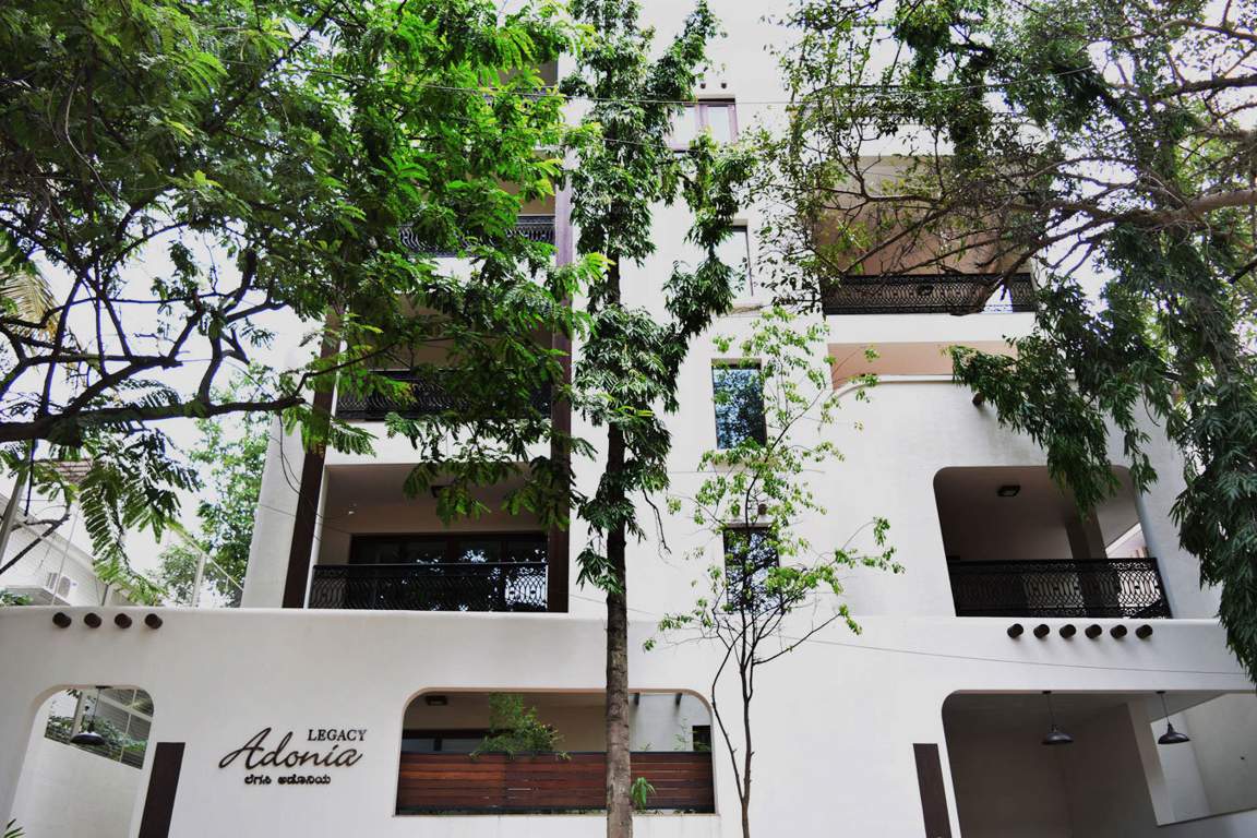  adonia Images for Elevation of Legacy Adonia