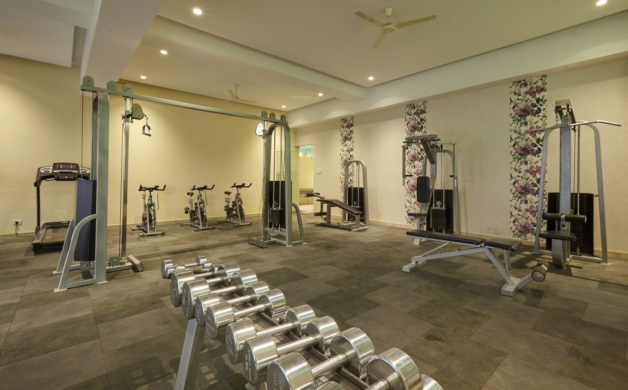  gandharva exellence Gymnasium