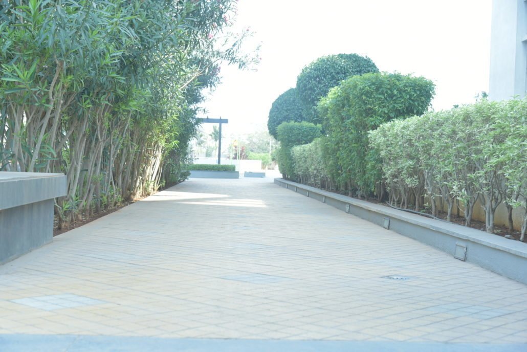  gandharva exellence Others