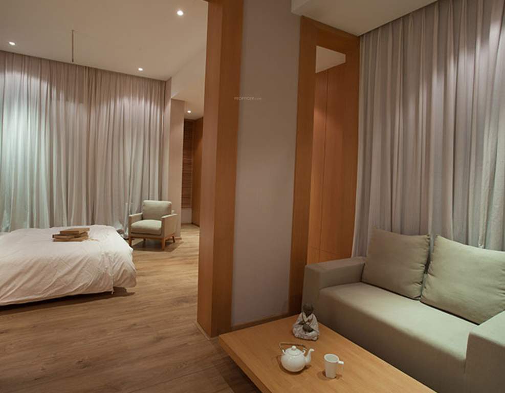  highness Images for Main Other of Progressive Highness