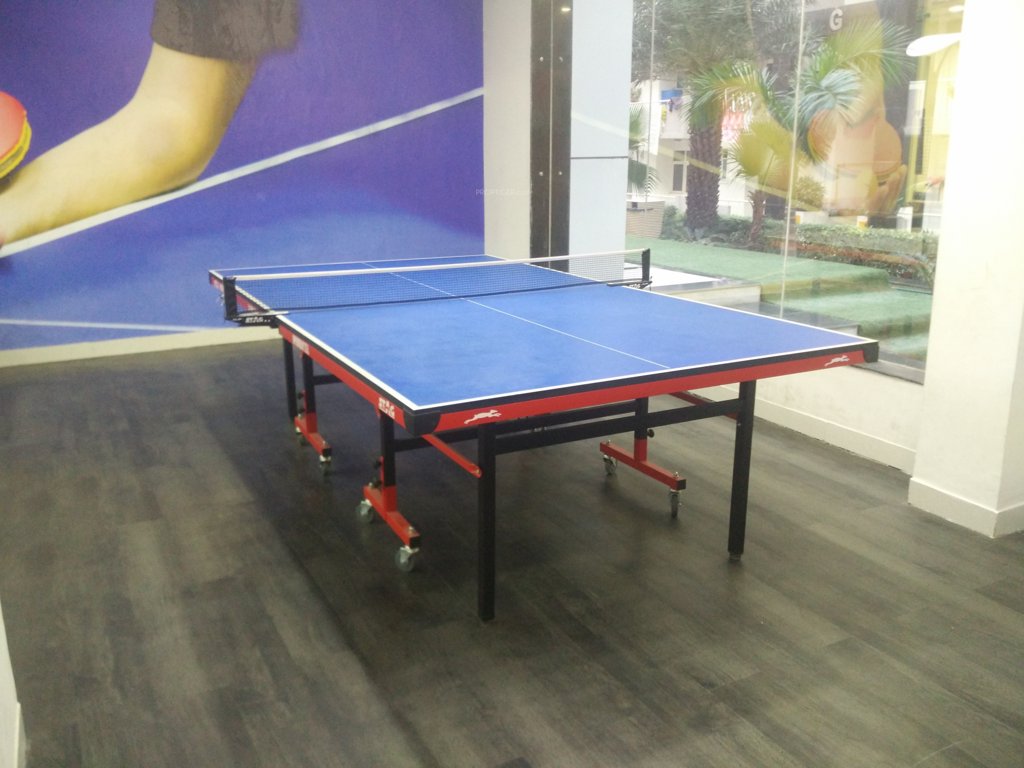 srishti Table Tennis