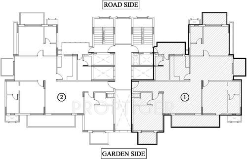  marigold Images for Cluster Plan of ATS Marigold