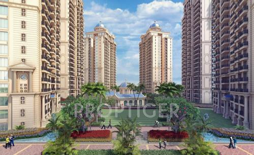  marigold Images for Elevation of ATS Marigold