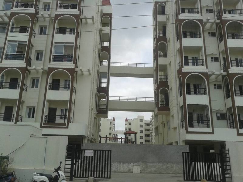  patels callisto Elevation