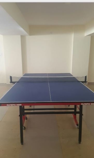  patels callisto Table Tennis