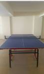 Table Tennis patels-callisto Table Tennis