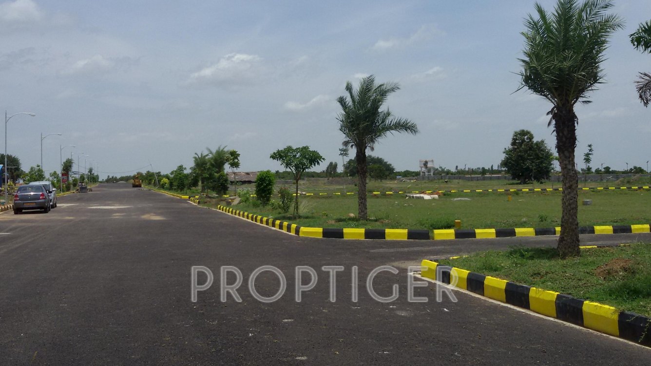 Images for Main Other of Pyramid Arlington County