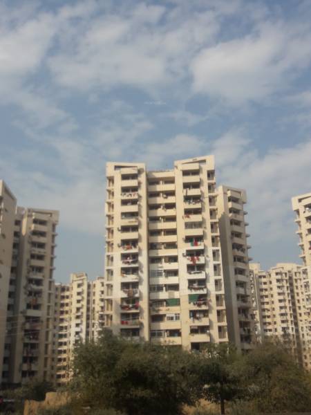 Images for Project greens Images for Project