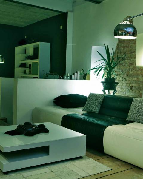 Images for Main Other of Legacy Mycon Duv Images for Main Other of Legacy Mycon Duv