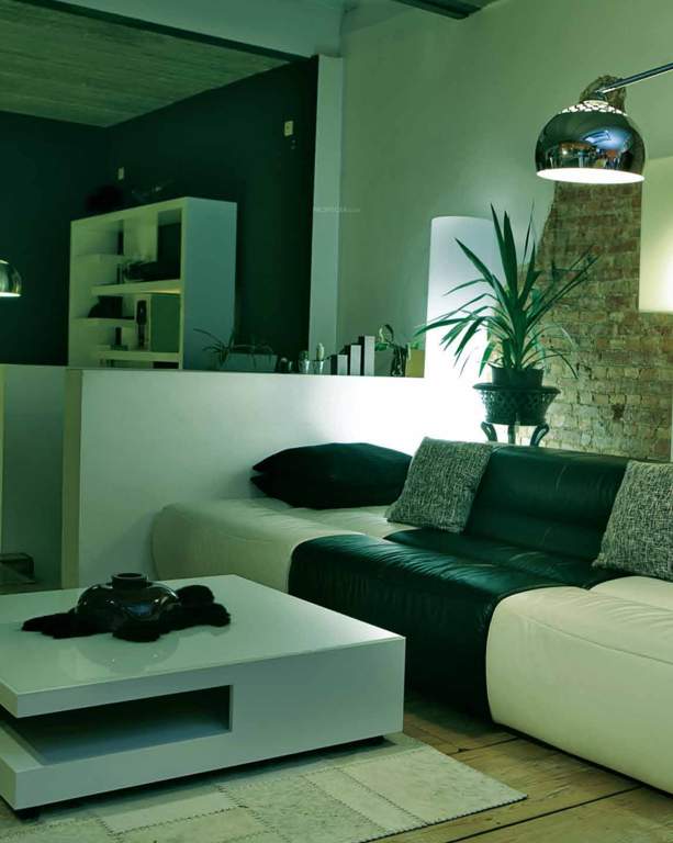 Images for Main Other of Legacy Mycon Duv