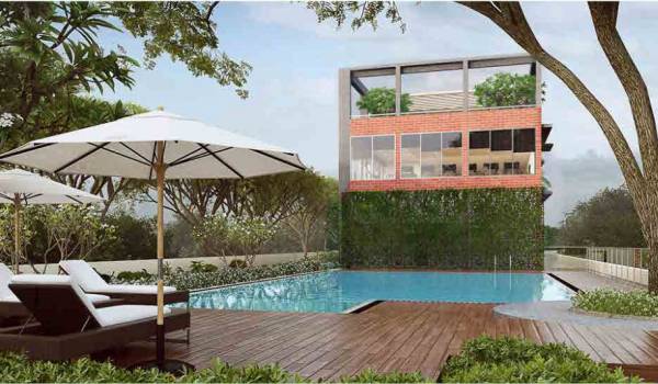  sahyadri Swimming Pool