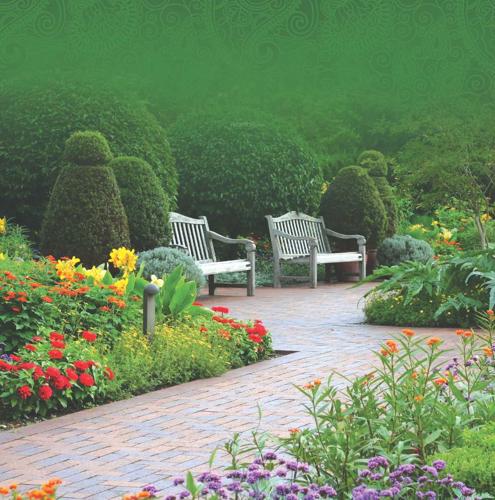  prestige Images for Amenities of Magnolia Prestige