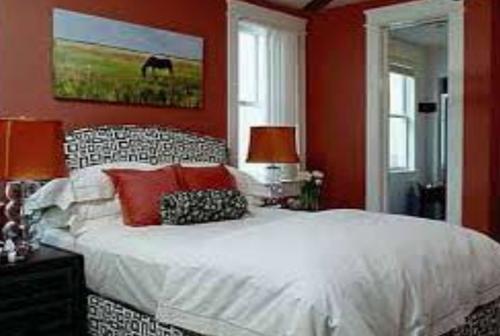 Images for Main Other of Magnolia Olympus olympus Images for Main Other of Magnolia Olympus