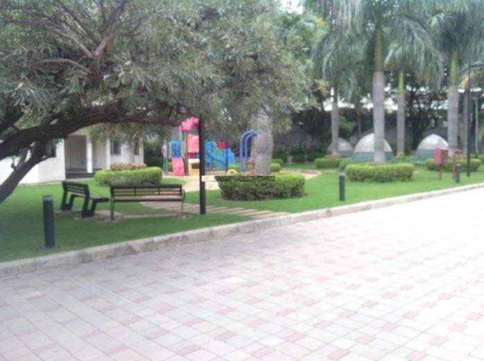 lakeside habitat Children's play area