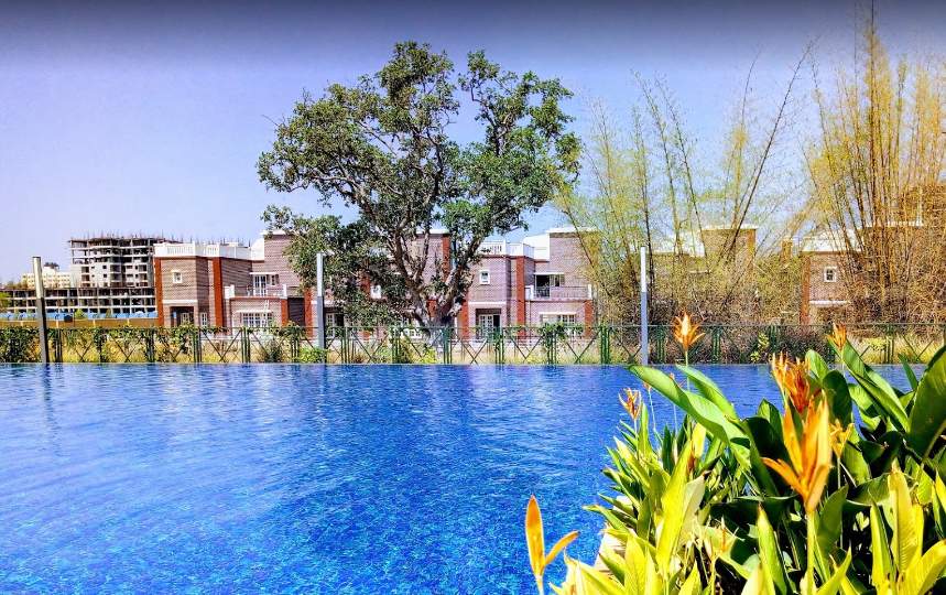 lakeside habitat Others