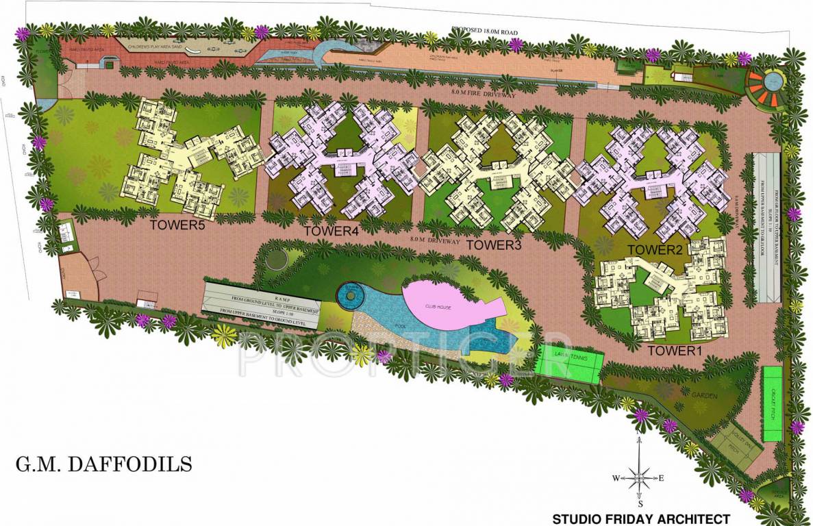 Images for Layout Plan of GM Daffodils
