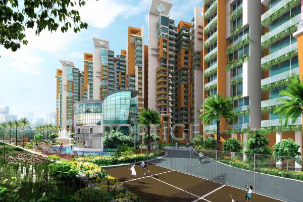  daffodils Images for Elevation of GM Daffodils