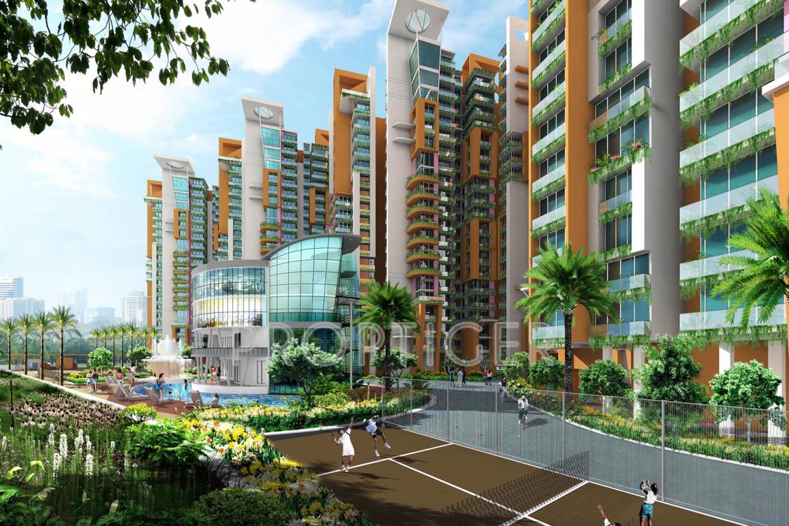  daffodils Images for Elevation of GM Daffodils