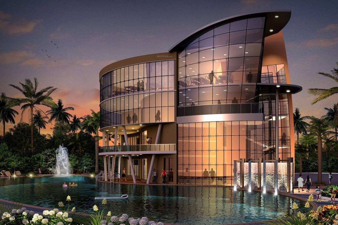 Images for Amenities of GM Daffodils