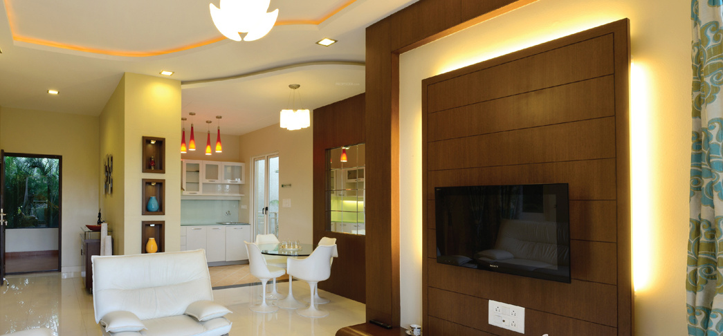 Images for Main Other of GM Daffodils