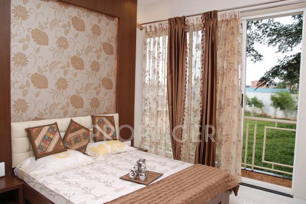 Images for Main Other of GM Daffodils