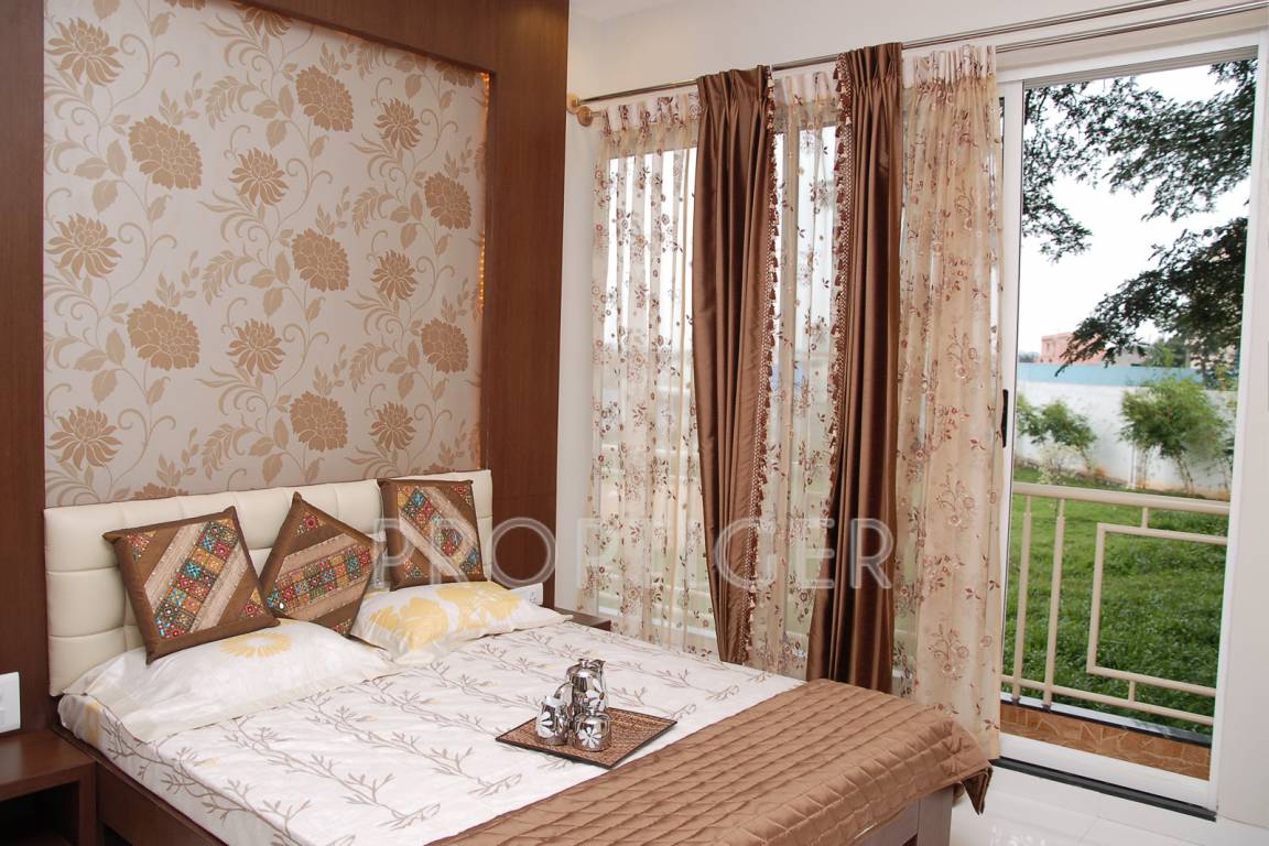 Images for Main Other of GM Daffodils