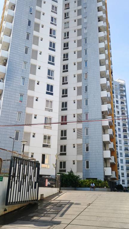  alexandria Elevation