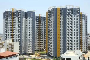  alexandria Elevation